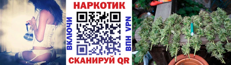 Наркошоп Гдов Псилоцибиновые грибы  Меф мяу мяу  АМФ  ГАШ  Кокаин 