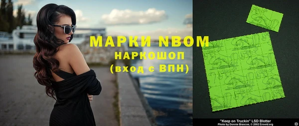 прущий лед Алзамай