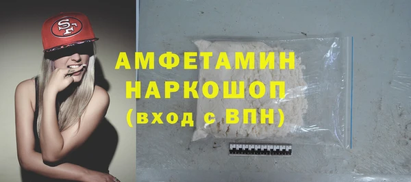 прущий лед Алзамай