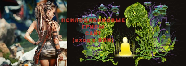 прущий лед Алзамай