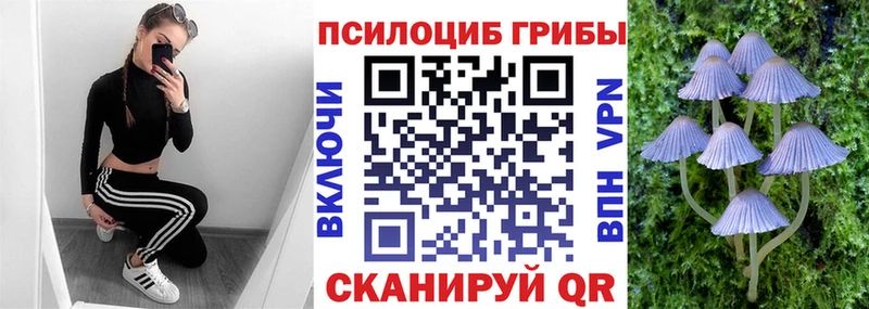 гидра сайт  сколько стоит  Гдов  Псилоцибиновые грибы GOLDEN TEACHER 